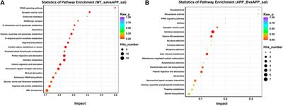 Baicalein-corrected gut microbiota may underlie the amelioration of memory and cognitive deficits in APP/PS1 mice